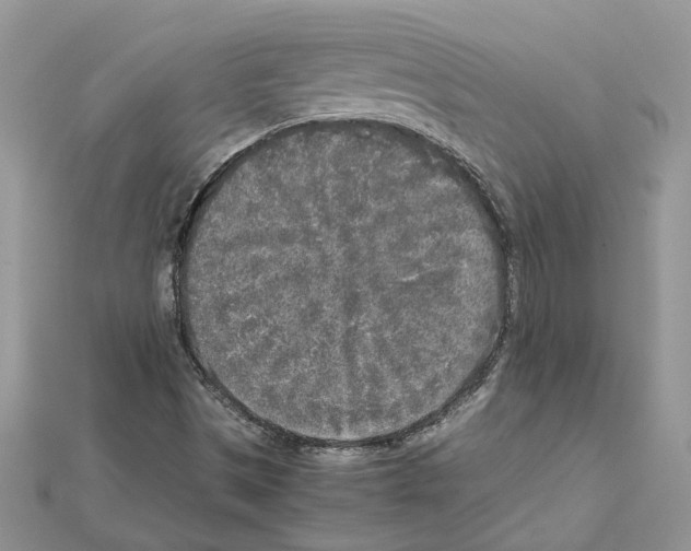 X0000111631497200908281123
