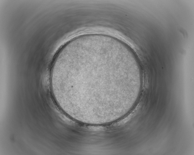 X0000111631498200908281123