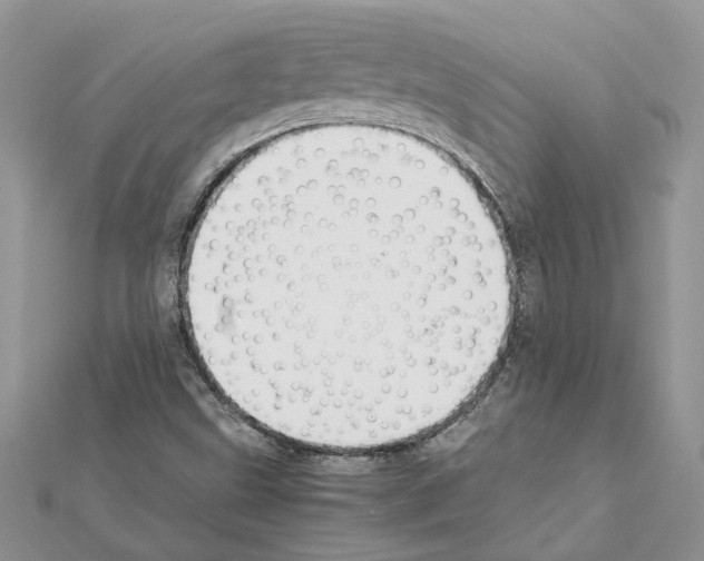 X0000111631499200908281123