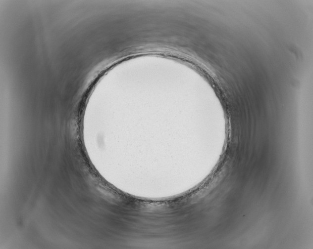 X0000111631501200908281123