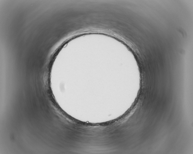 X0000111631502200908281123
