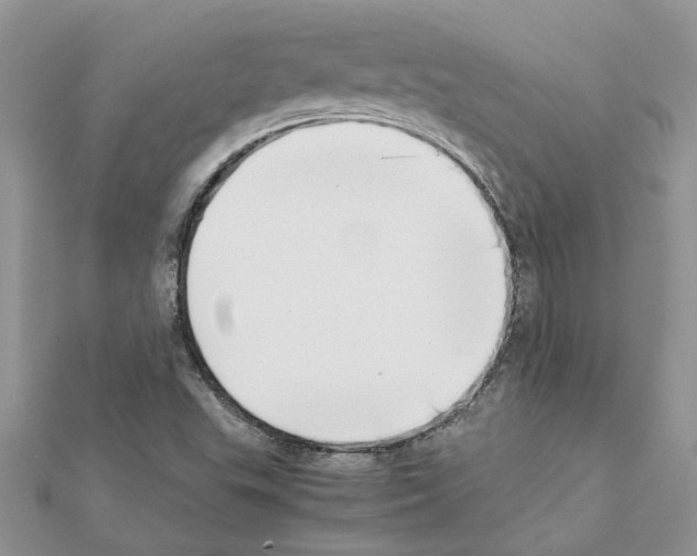 X0000111631503200908281123