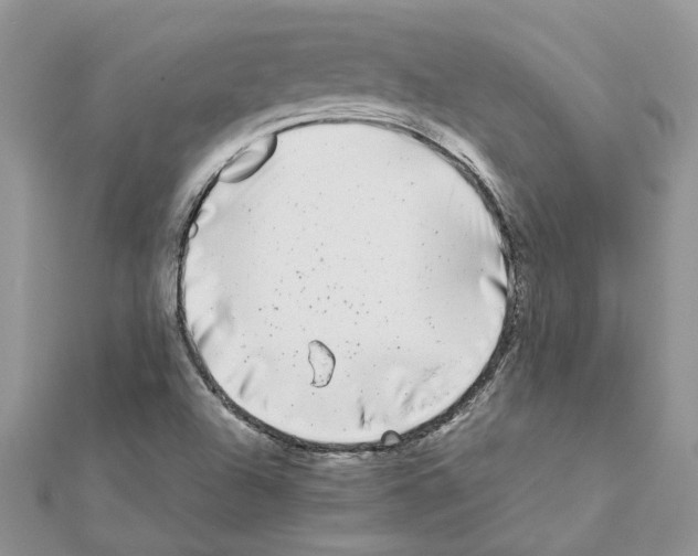 X0000111631504200908281123