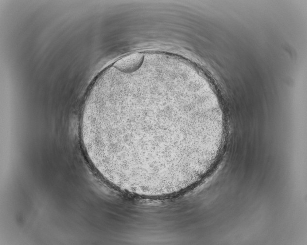 X0000111631505200908281123