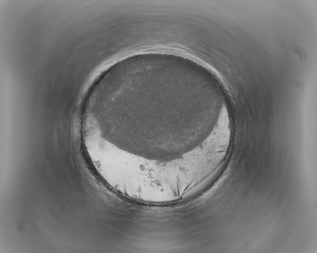 X0000111631506200908281123