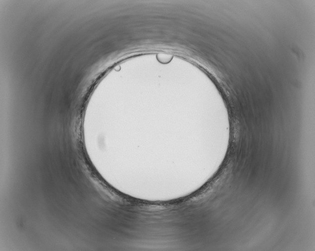 X0000111631507200908281123