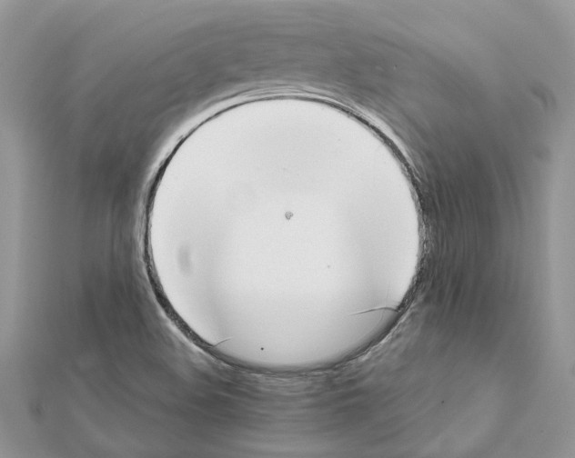 X0000111631508200908281123