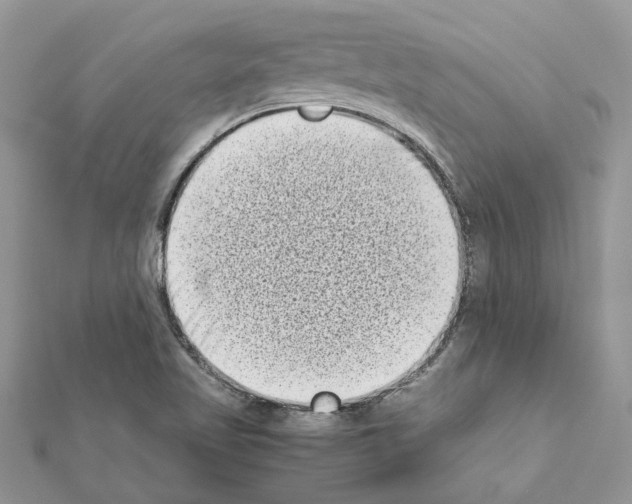 X0000111631509200908281123