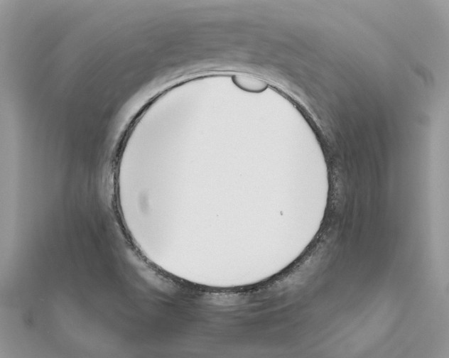 X0000111631511200908281123