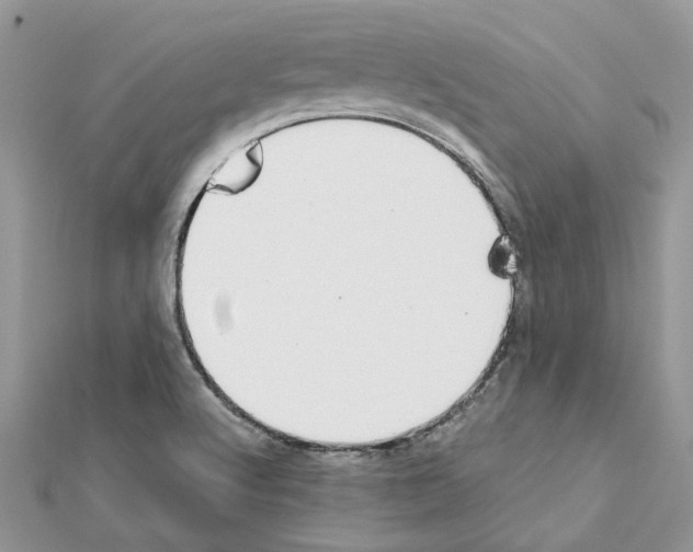 X0000111631512200908281123