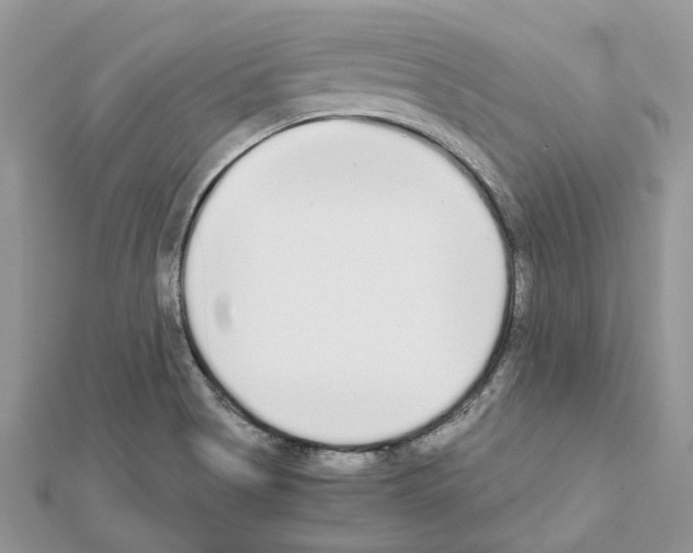 X0000111631513200908281123