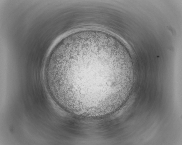 X0000111631514200908281123