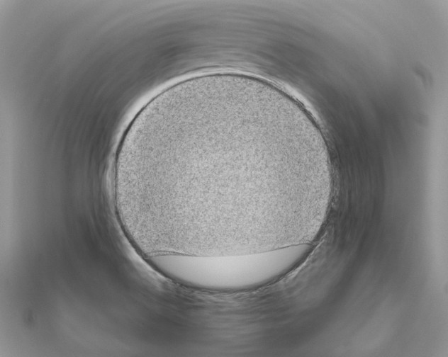 X0000111631516200908281123