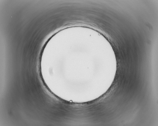 X0000111631518200908281123