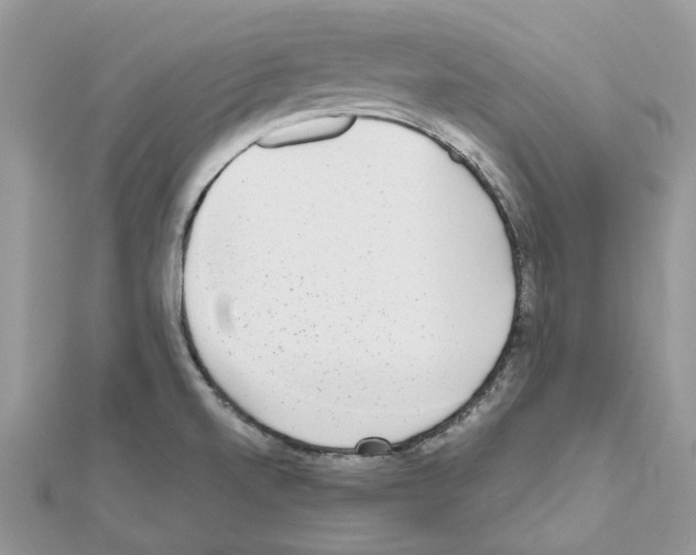 X0000111631520200908281123