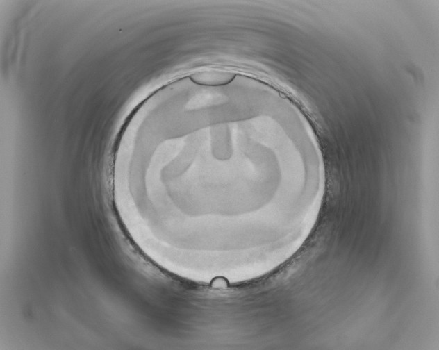 X0000111631522200908281123