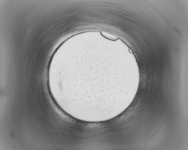 X0000111631523200908281123