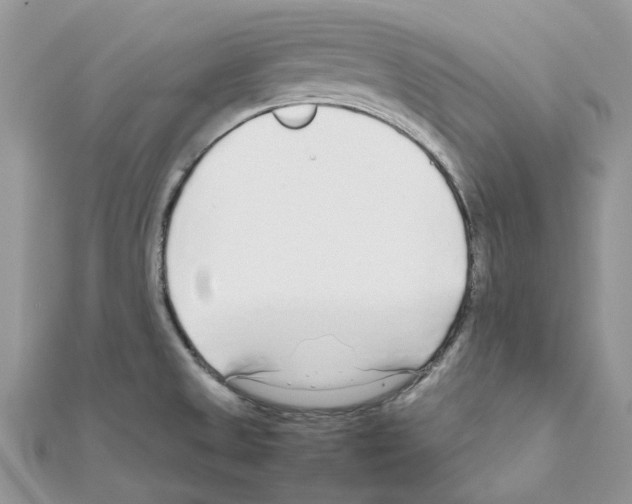 X0000111631525200908281123