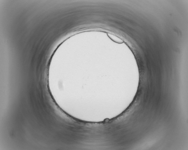 X0000111631526200908281123