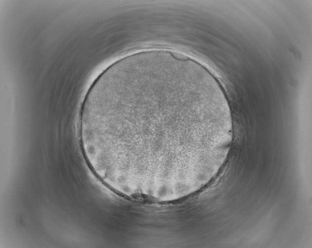 X0000111631527200908281123