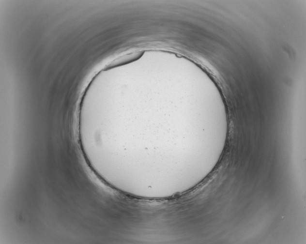 X0000111631528200908281123