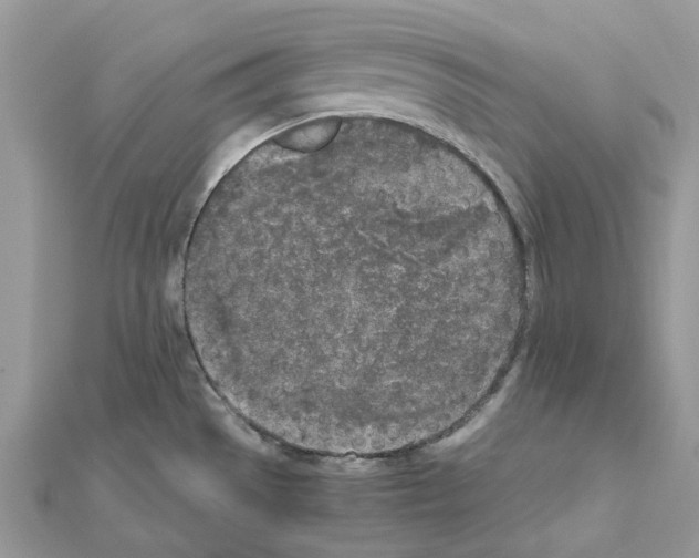 X0000111631529200908281123