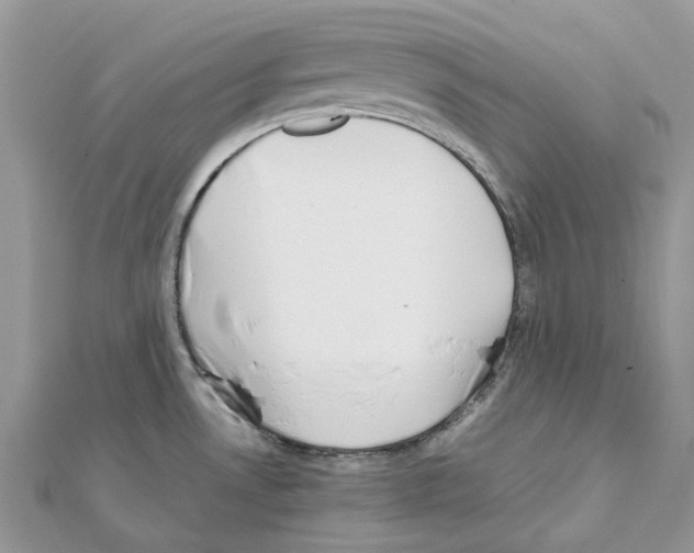 X0000111631530200908281123