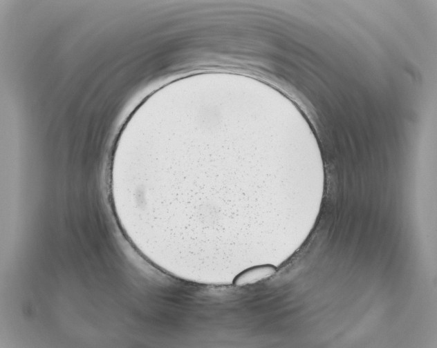 X0000111631531200908281123