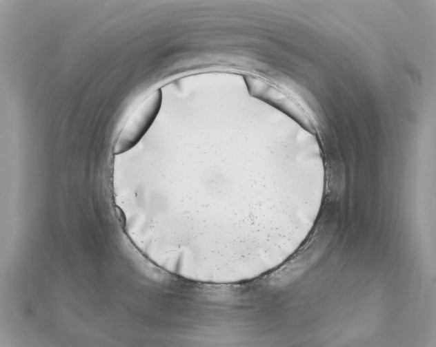 X0000111631532200908281123
