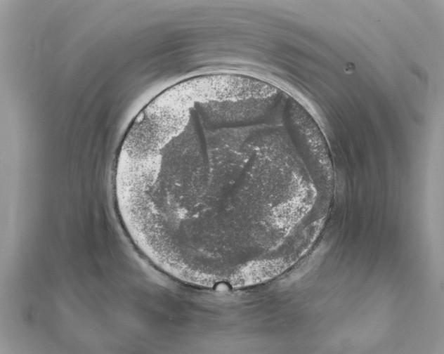 X0000111631533200908281123