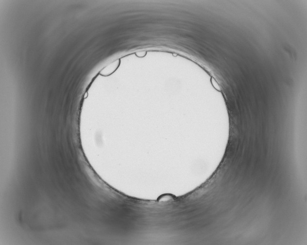 X0000111631534200908281123