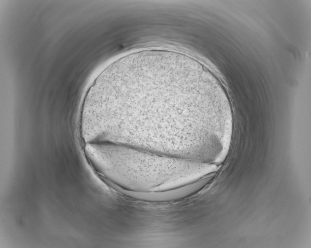 X0000111631536200908281123