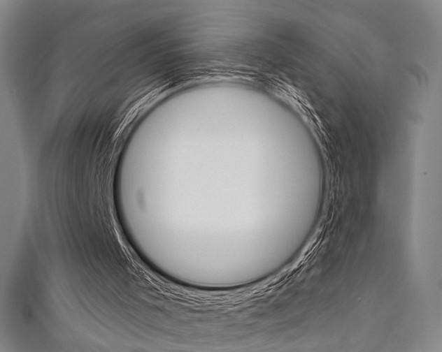 X0000111640001200907171048