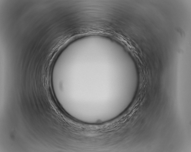 X0000111640002200907171048