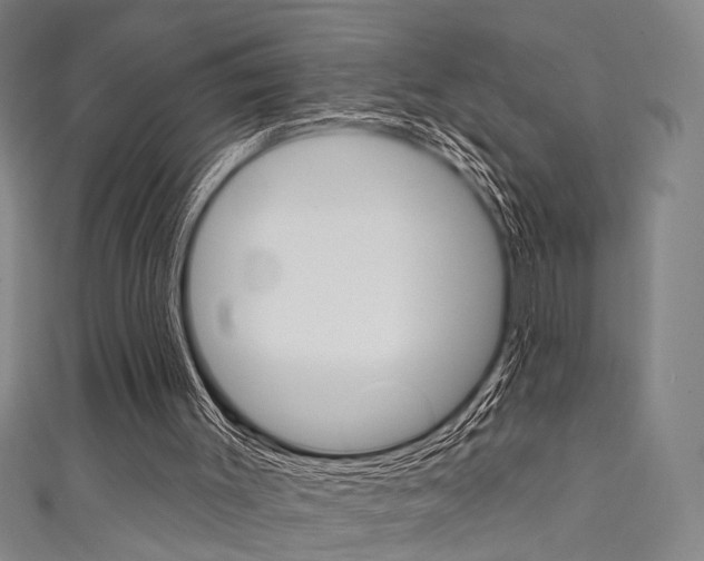 X0000111640003200907171048