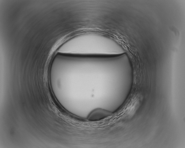 X0000111640004200907171048