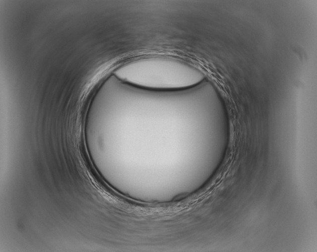 X0000111640005200907171048