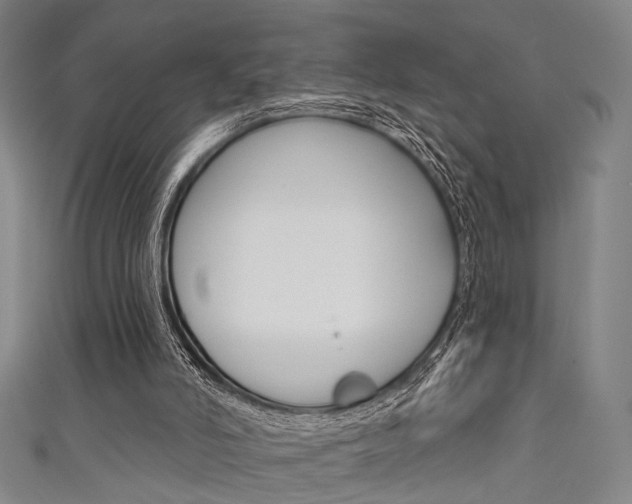 X0000111640006200907171048