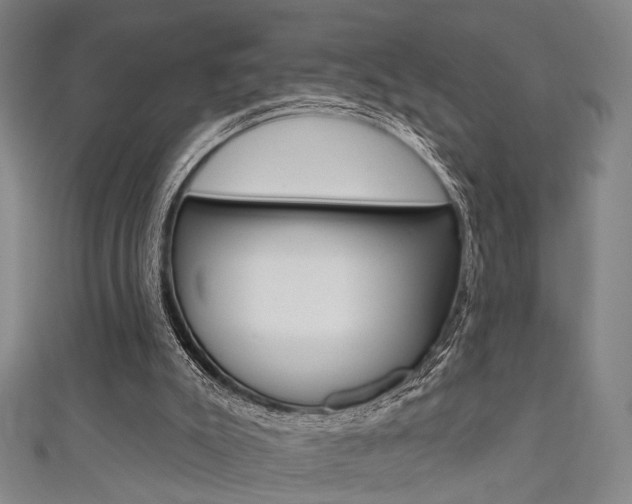 X0000111640007200907171048