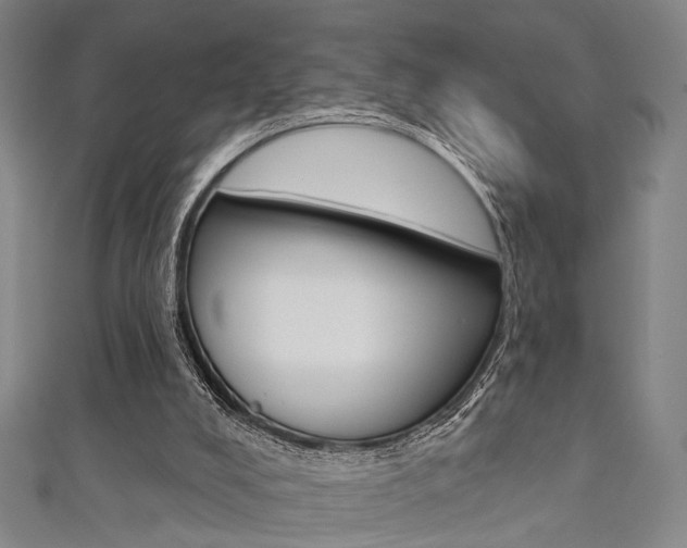 X0000111640008200907171048