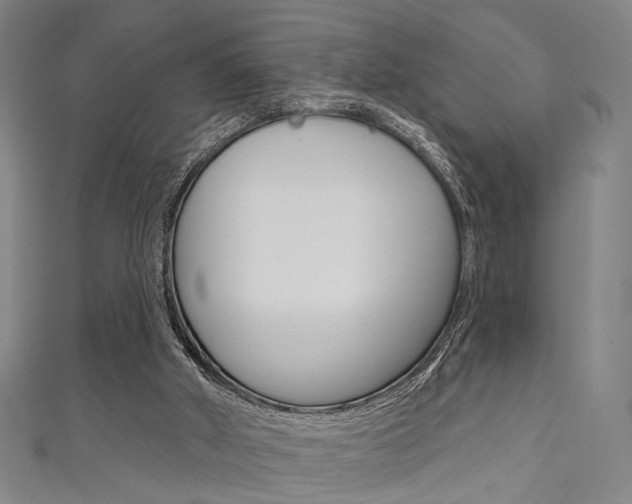 X0000111640010200907171048
