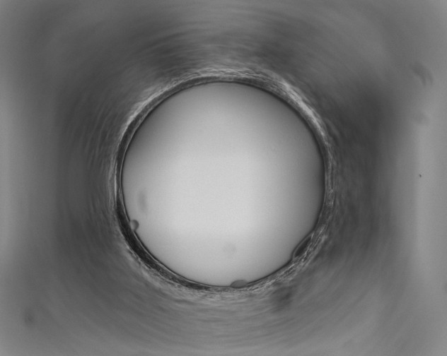 X0000111640011200907171048
