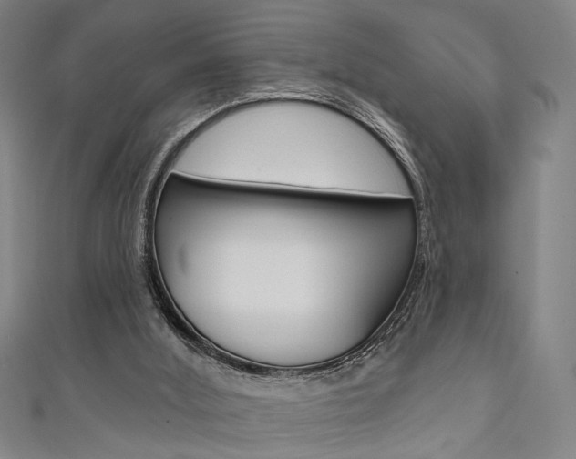 X0000111640012200907171048