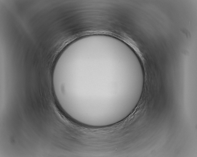 X0000111640013200907171048