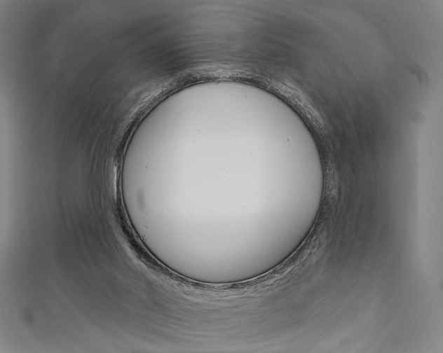 X0000111640014200907171048