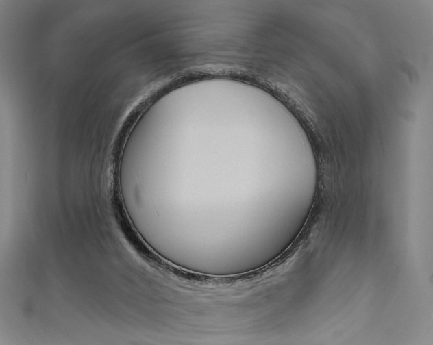 X0000111640016200907171047