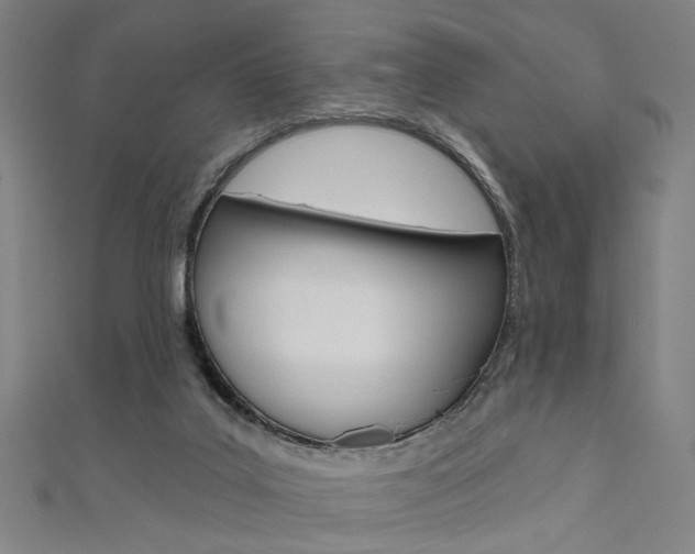 X0000111640019200907171047