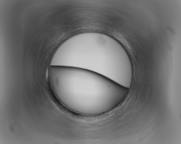 X0000111640021200907171047