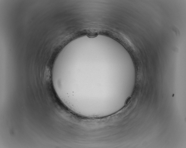 X0000111640025200907171047