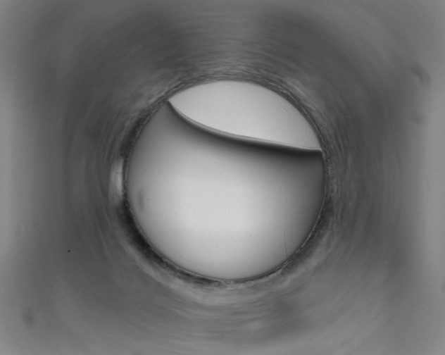 X0000111640028200907171047